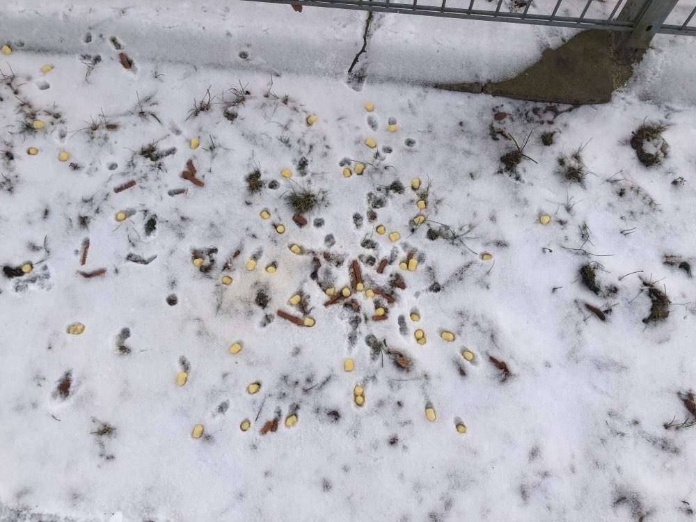 Giftköder-Mögl. Giftköder-Profilbild