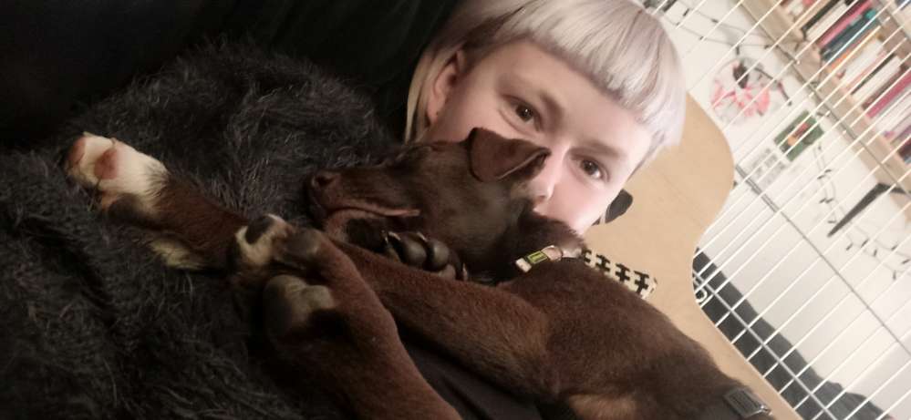 Hundetreffen-Hundefreund im Junghundalter gesucht-Profilbild