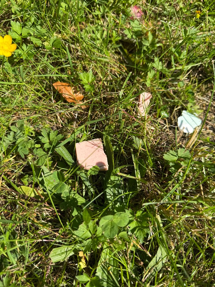 Giftköder-Giftköder-Profilbild