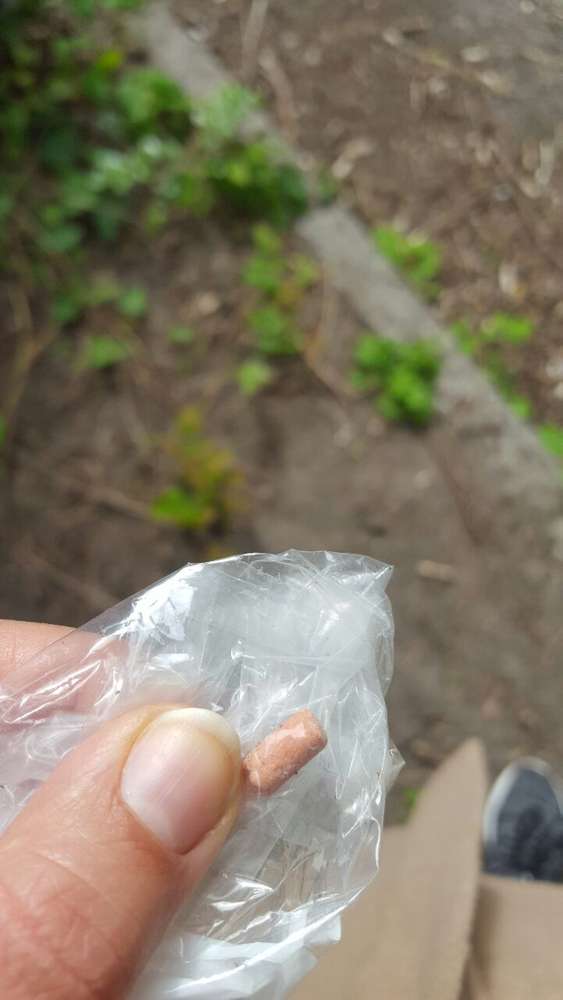 Giftköder-Giftköder in der Parkfläche Auerpark-Profilbild