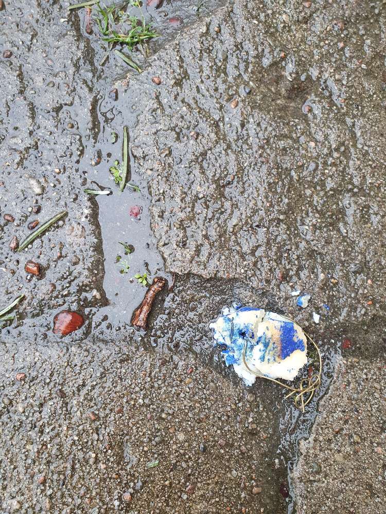 Giftköder-Helles Brot mit blauer Füllung-Profilbild