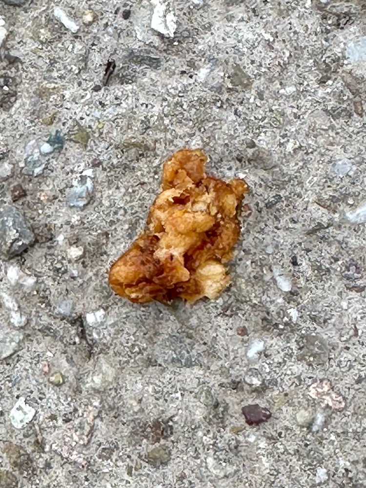 Giftköder-Hundefutter u. Hähnchen Knochen gesehen-Profilbild