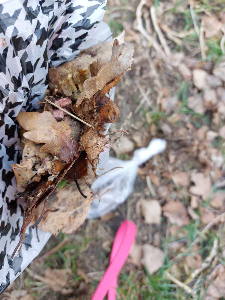 Giftköder-Weißes Pulver und Fleisch-Profilbild