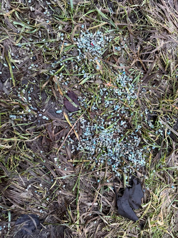 Giftköder-Giftköder-Profilbild