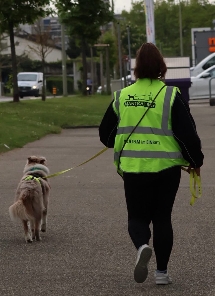 Hundetreffen-Mantrailing Hund & Mensch-Profilbild