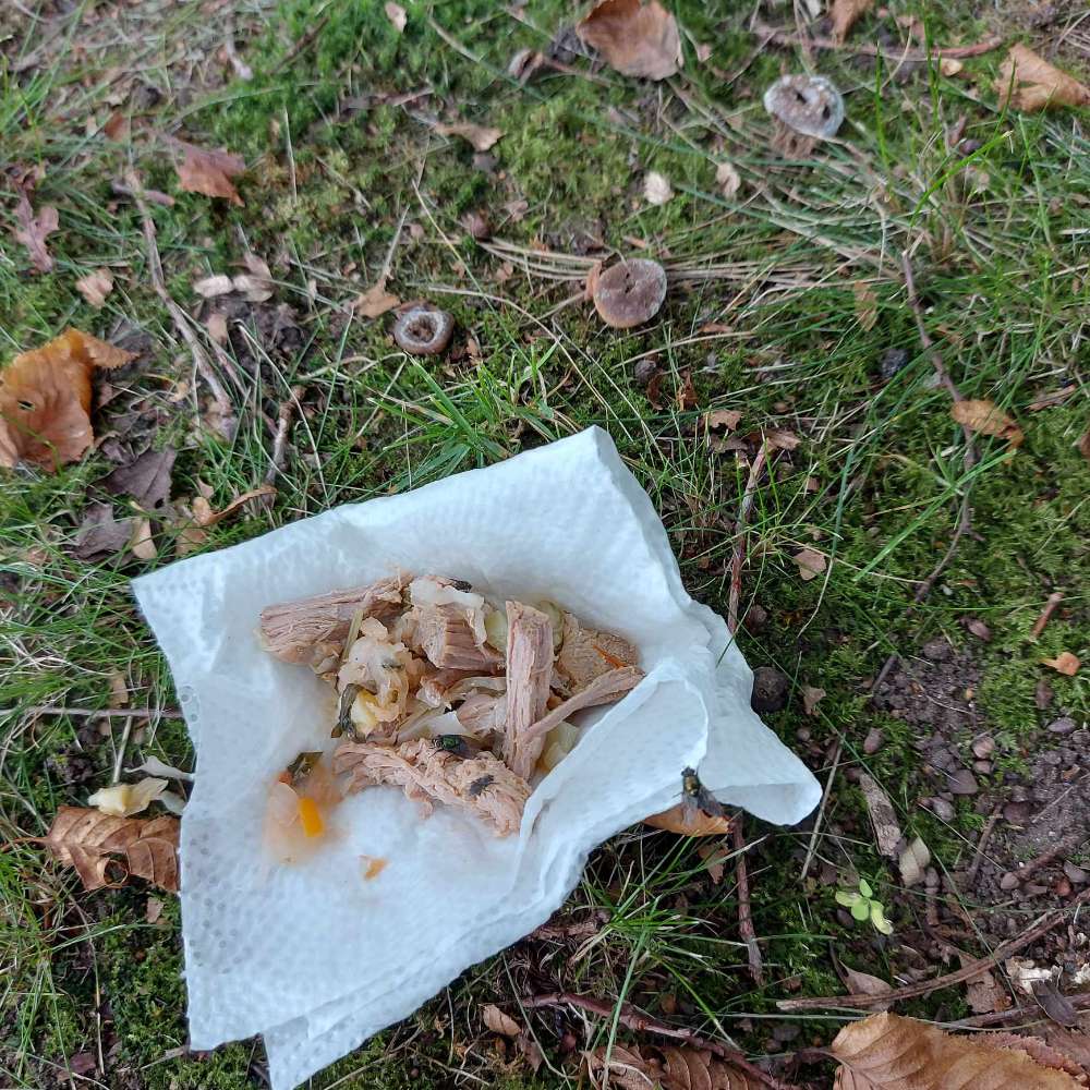 Giftköder-Fleisch auf Küchenpapier-Profilbild