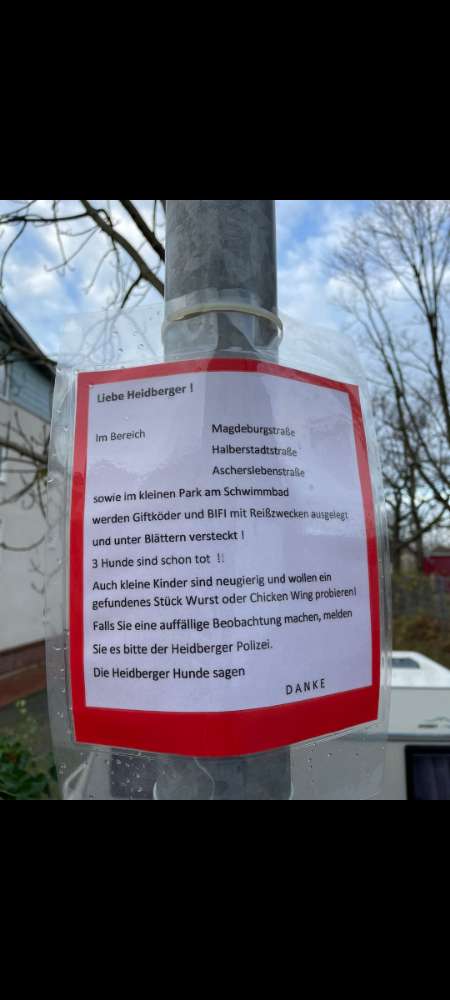 Giftköder-Köder mit Reißzwecken-Profilbild