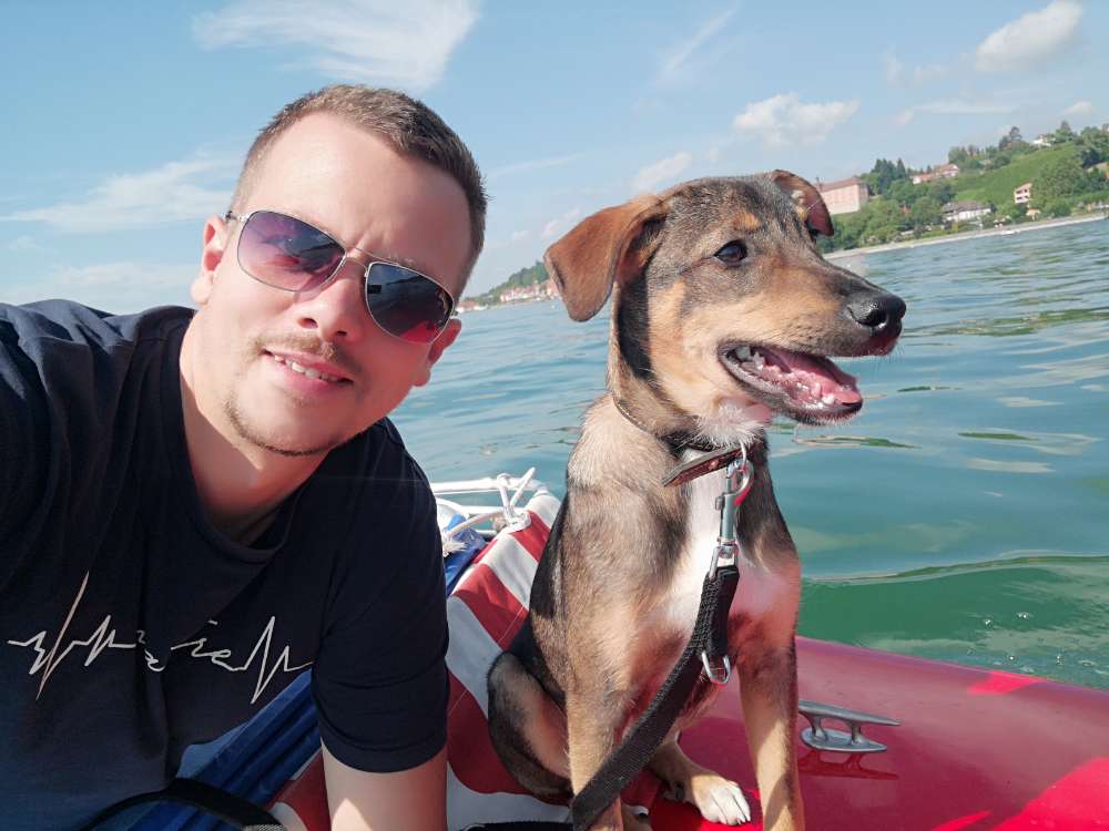 Hundetreffen-Spiel, Spaß & Abenteuer-Profilbild