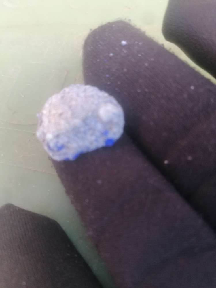 Giftköder-Giftköder-Profilbild