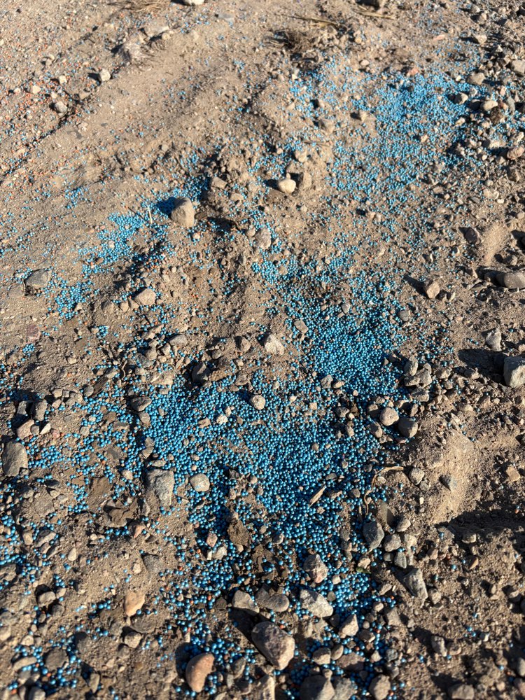 Giftköder-Blaukorn/Dünger auf Schotterweg-Profilbild