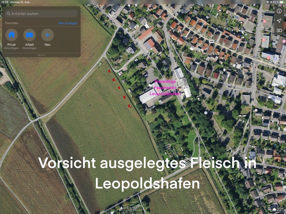 Giftköder-Ausgelegte Fleischstücke-Profilbild