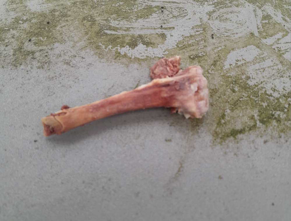 Giftköder-Knochen!-Profilbild