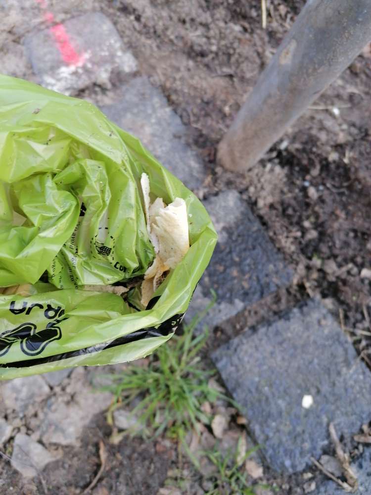 Giftköder-Zerkleinertes Brot-Profilbild