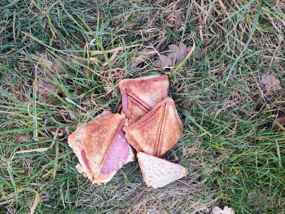 Giftköder-Salami Sandwiches & Glasscherben-Profilbild