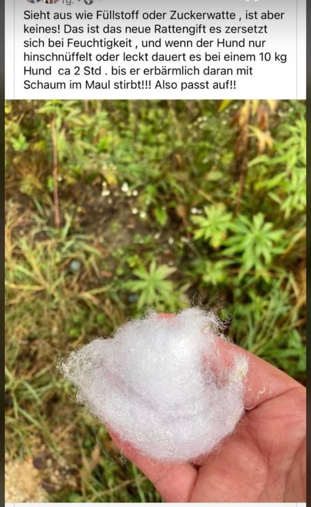 Giftköder-Klingberg Gift weiße Flocken-Profilbild