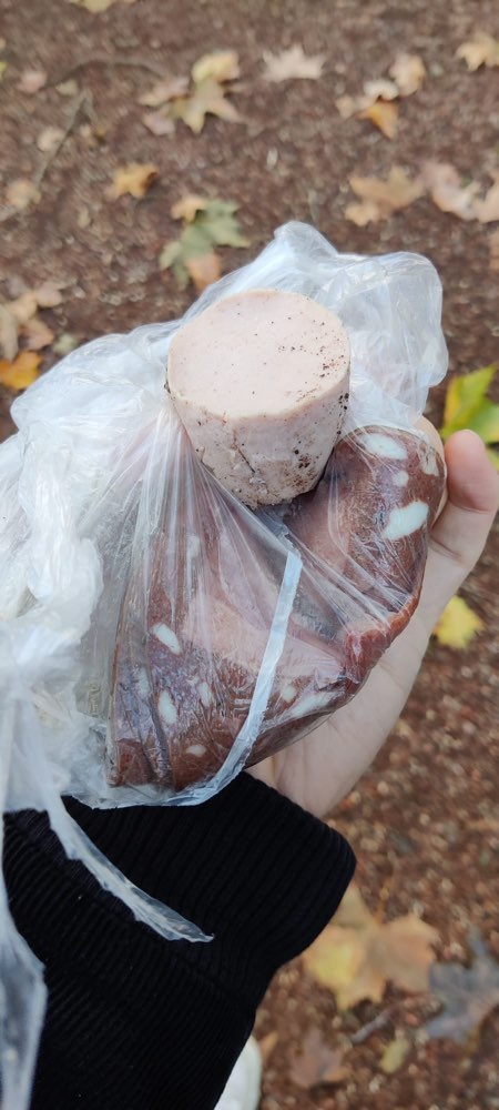 Giftköder-Tüten mit Wurst auf Gehweg-Profilbild
