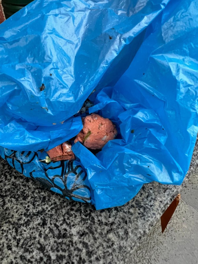 Giftköder-Mögliche Giftköder Sportplatz Melbeck-Profilbild