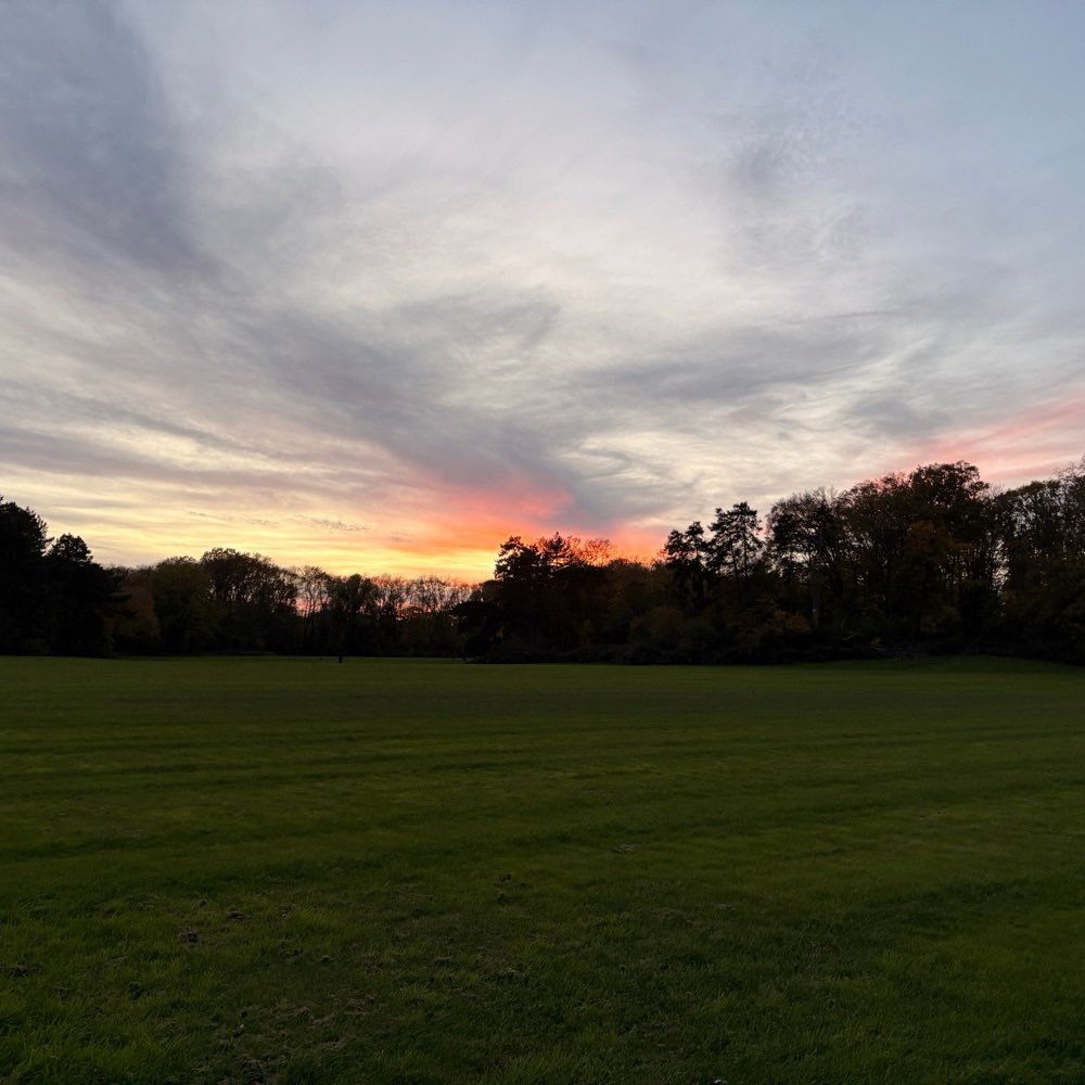 Hundetreffen-Gemeimsame Gassirunden Merheimer Heide-Profilbild