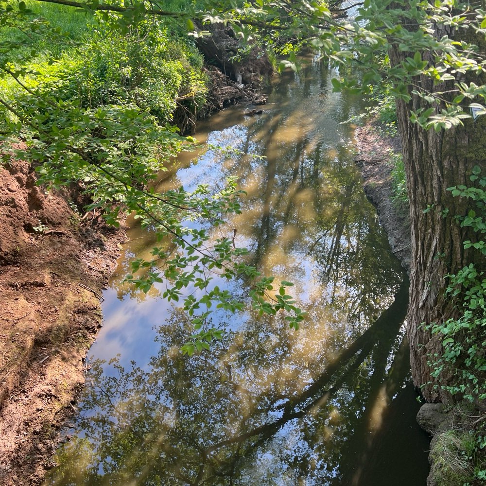 Giftköder-Gülle in Sersheim in der Metter-Profilbild