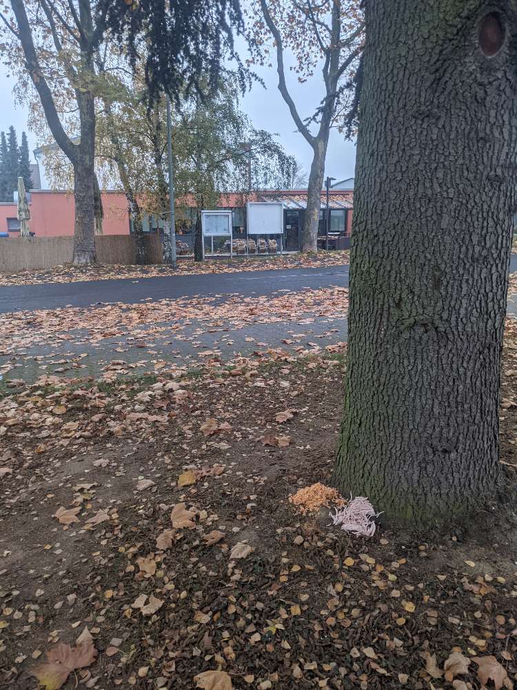 Giftköder-Wurst und anderes Essen drapiert-Profilbild