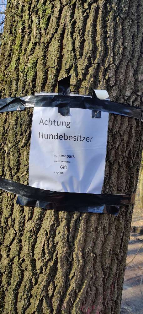 Giftköder-Giftköder-Profilbild