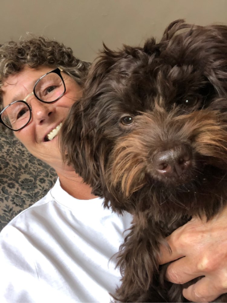 Hundetreffen-Spiel und Spaß für unsere Vierbeiner-Profilbild