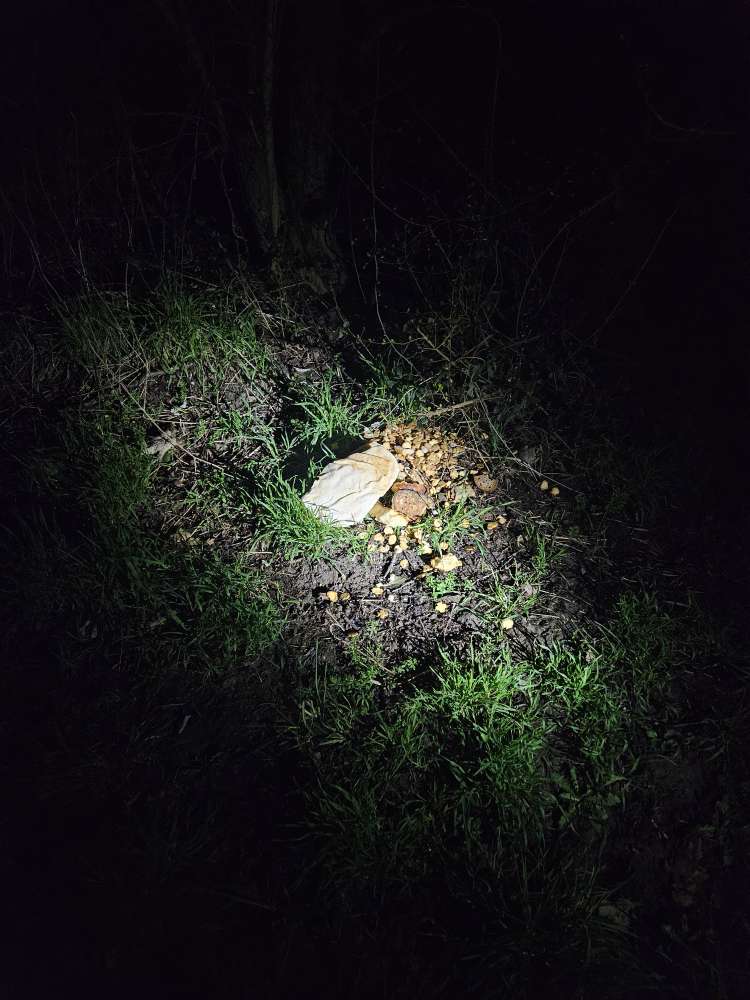 Giftköder-Brot und Kekse-Profilbild