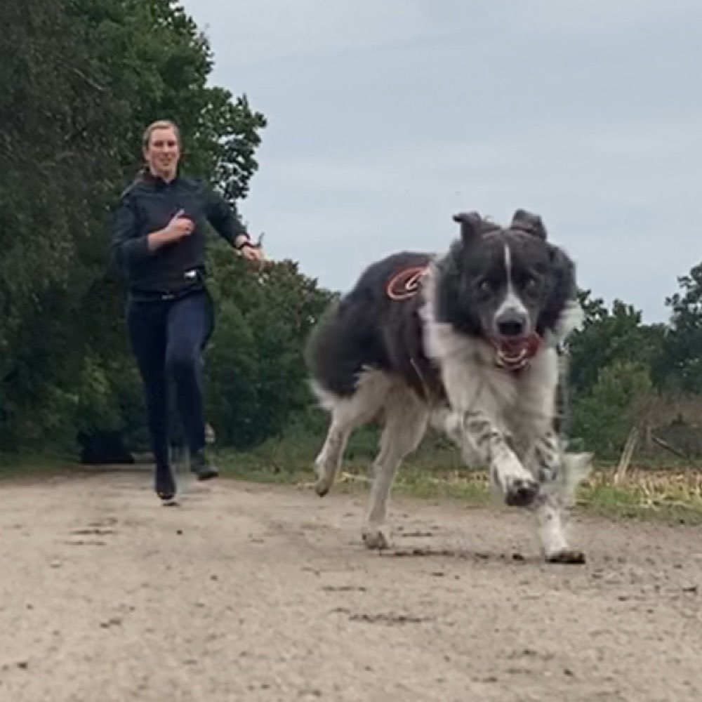 Hundetreffen-Partner für Canicross/Laufen/Wandern gesucht-Profilbild