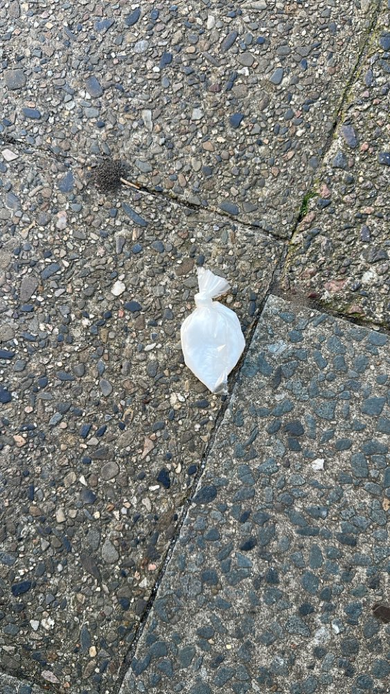 Giftköder-Mehrere Tütchen mit weißem Pulver!!-Profilbild