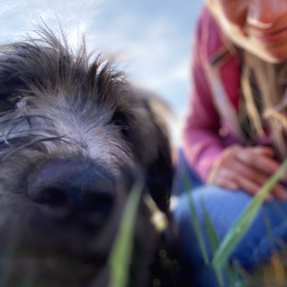 Hundetreffen-Spiel- und Trainingsrunden Mainhardt und Umgebung-Profilbild