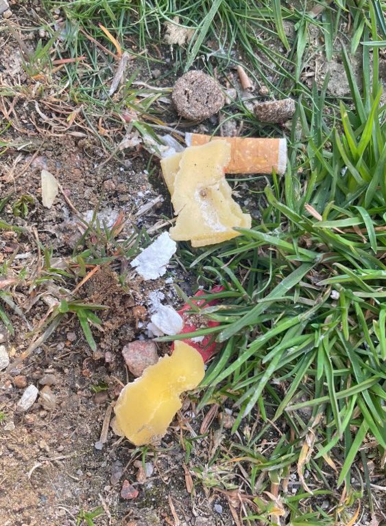 Giftköder-Giftköder-Profilbild