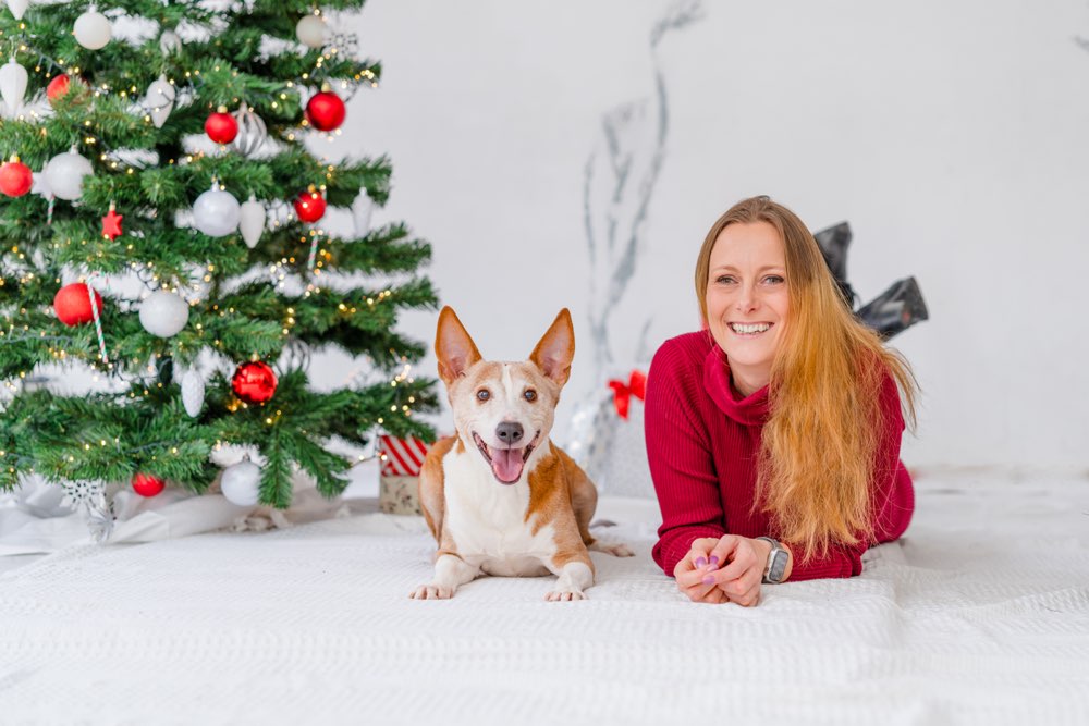 Hundetreffen-Trainingspartner gesucht-Profilbild