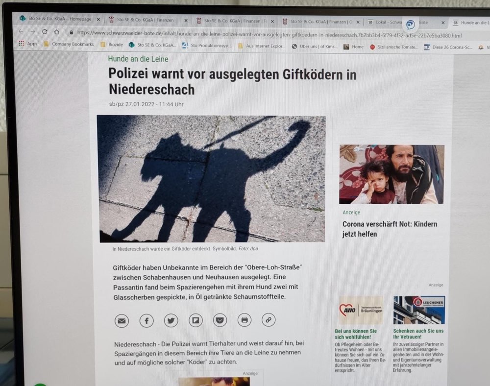 Giftköder-Schaumstoff in Öl getränkt-Profilbild