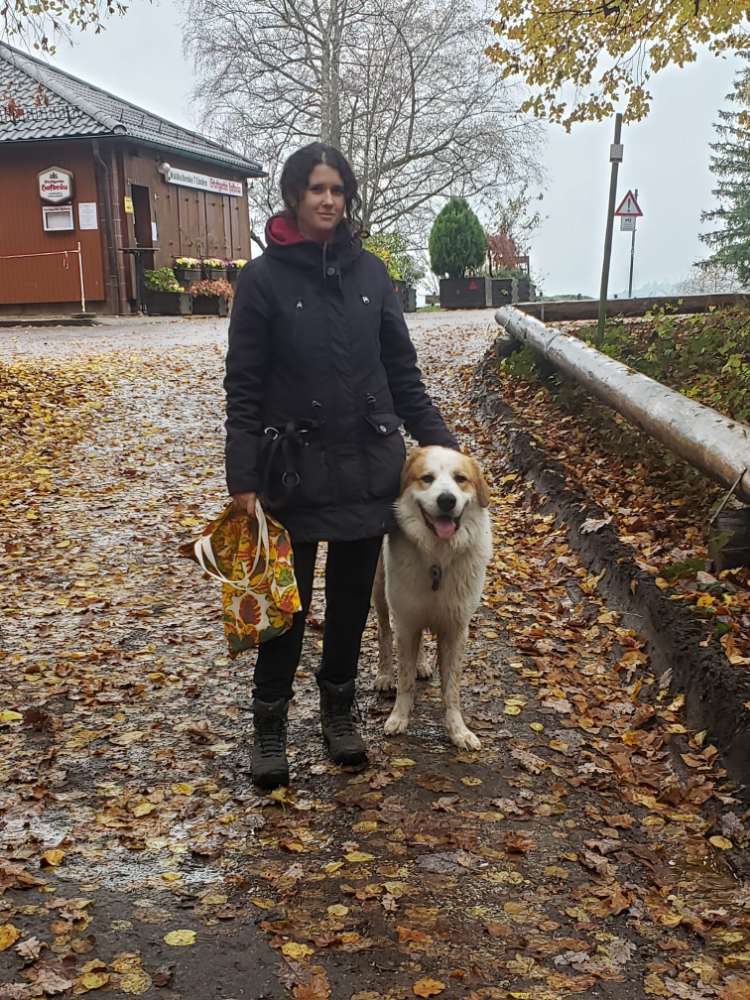 Hundetreffen-Übungstreffen-Profilbild