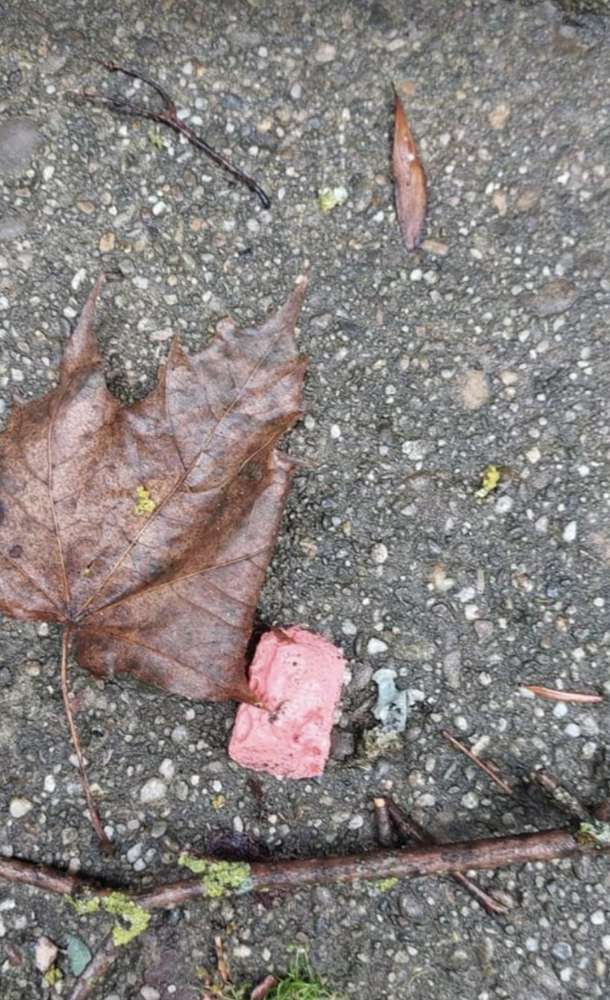 Giftköder-Giftköder-Profilbild