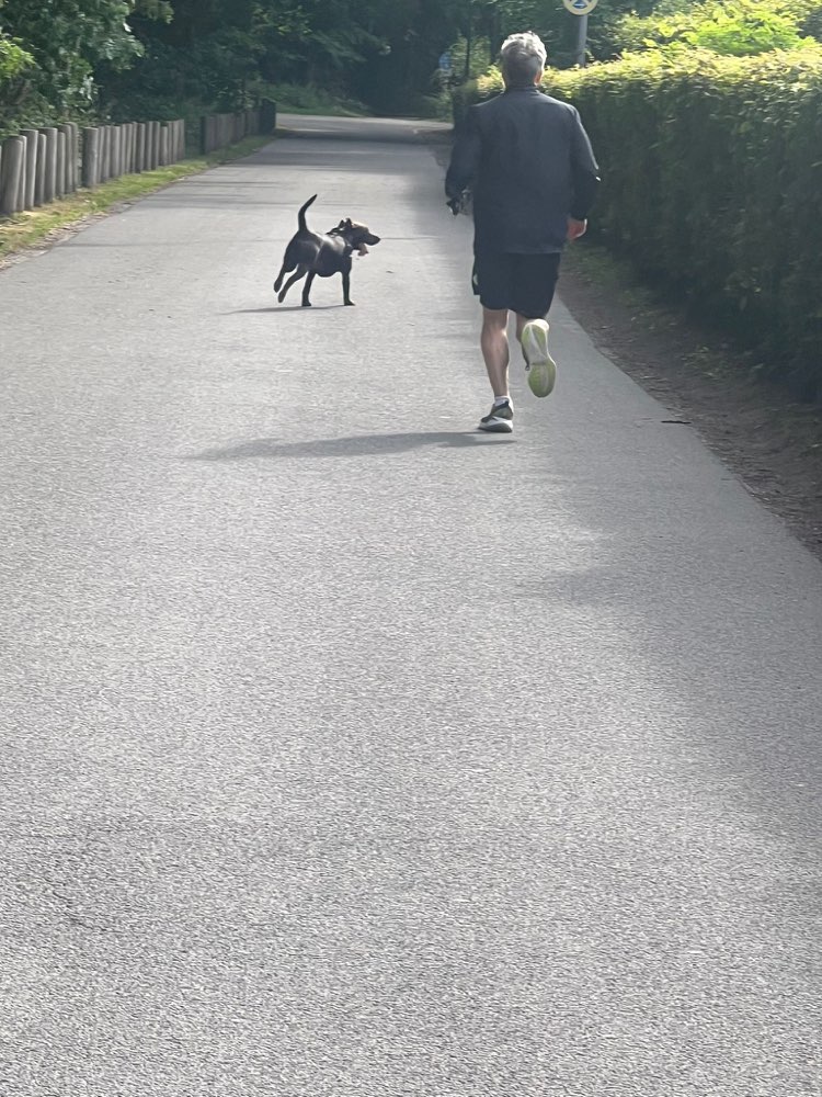 Giftköder-Aggressiver Hund/Halter im Stadtwald KR-Profilbild