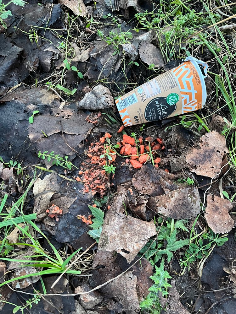 Giftköder-Evtl. Giftköder-Profilbild