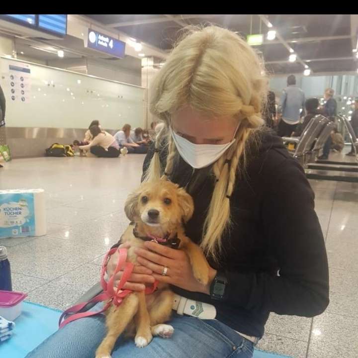 Hundetreffen-Hundetreffen gesucht-Profilbild