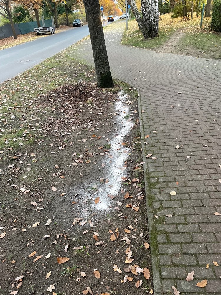 Giftköder-Weißes Pulver (Giftködergefahr)-Profilbild