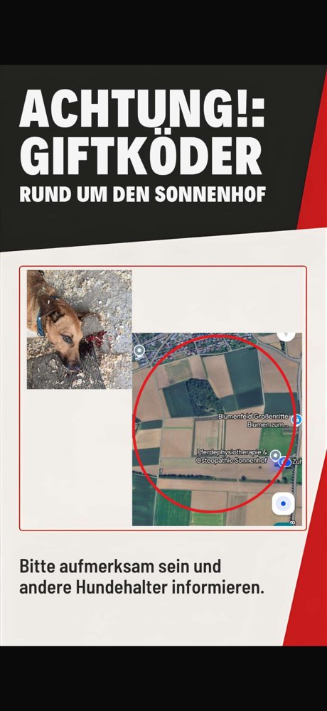 Giftköder-Giftköder-Profilbild