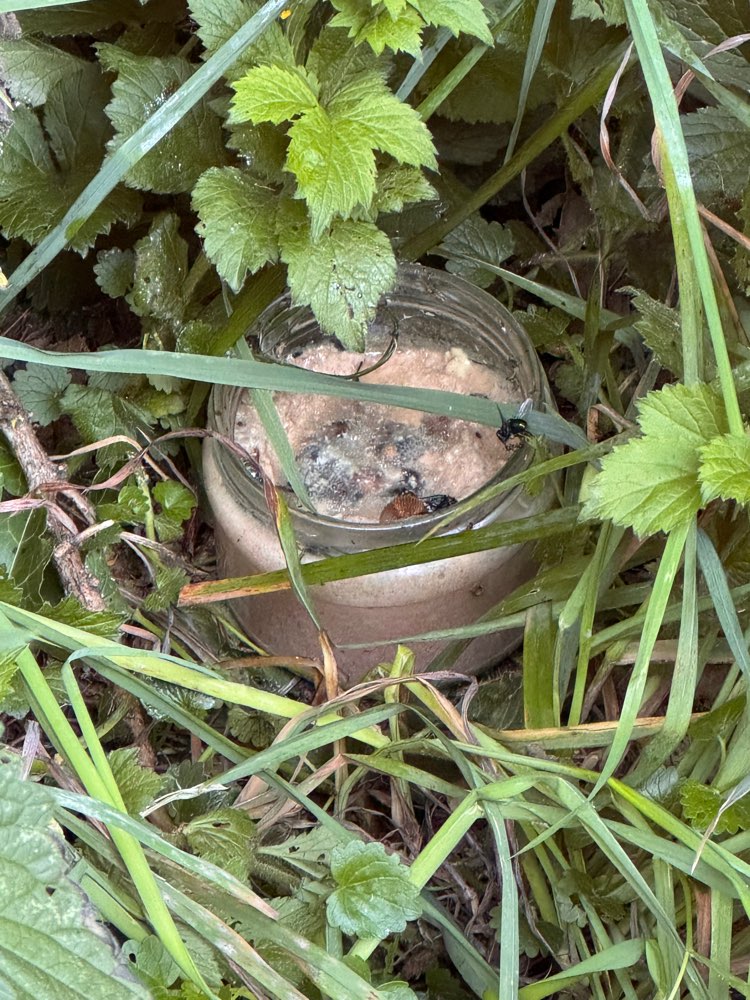 Giftköder-Glas mit undefiniertem Inhalt in Gebüsch-Profilbild