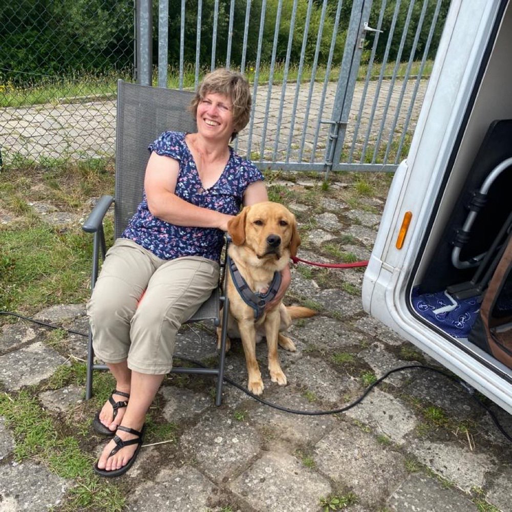 Hundetreffen-Hundebegegnungen üben-Profilbild