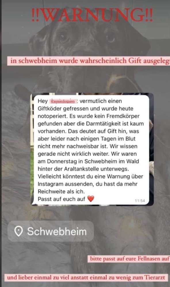 Giftköder-Wahrscheinlich Giftköder-Profilbild