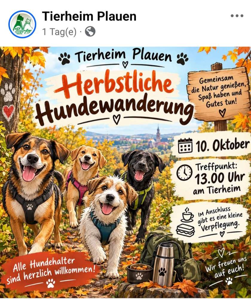 Hundetreffen-Herbstliche Hundewanderung-Profilbild