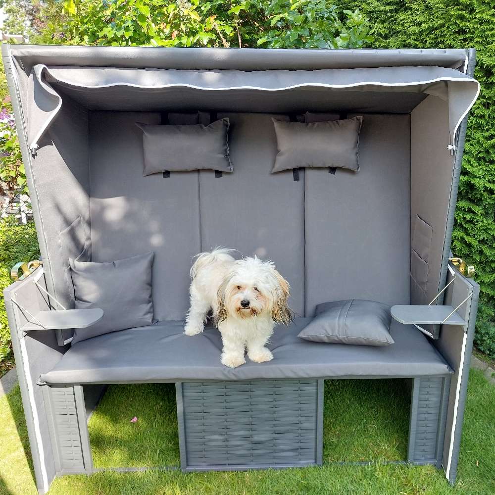 Hundetreffen-Spielkameraden gesucht-Profilbild