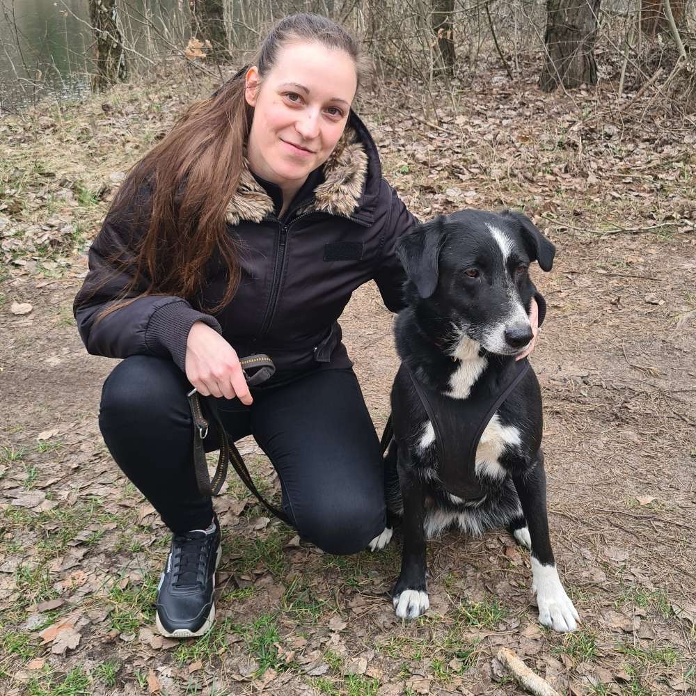 Hundetreffen-Spielrunde auf der Hundewiese und Gassirunden-Profilbild