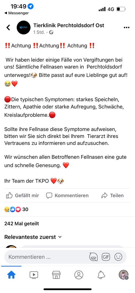 Giftköder-Vergiftungen-Profilbild