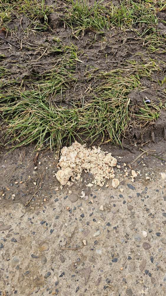 Giftköder-Abfall, pozentieller Köder-Profilbild