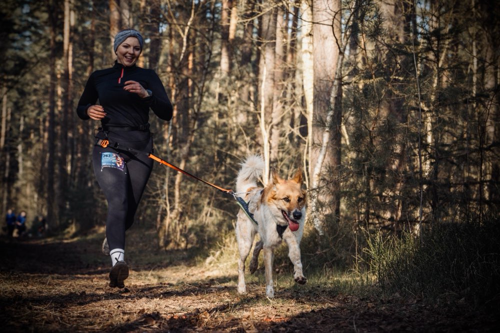 Hundetreffen-Canicross-Profilbild