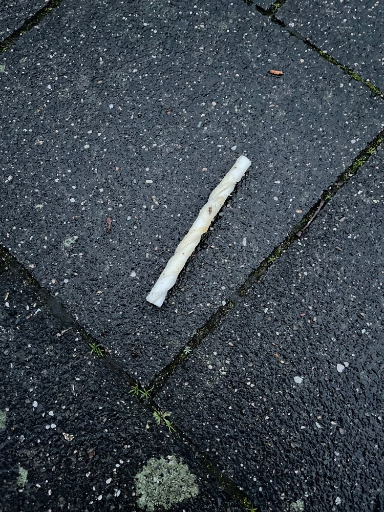 Giftköder-Kaustange gefunden ( evtl. Giftköder)-Profilbild